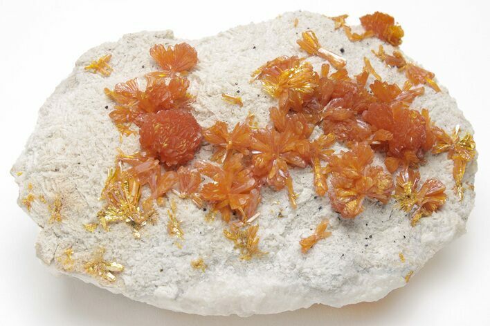 Vibrant Orange Orpiment Crystals on Barite - Russia #208756